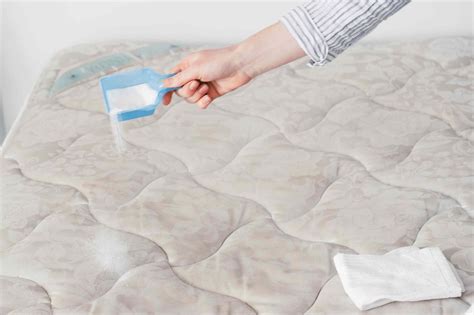 How To Remove Urine Stain From Mattress - 2 Ways To Clean Urine Out Of A Foam Mattress Tidylife ...