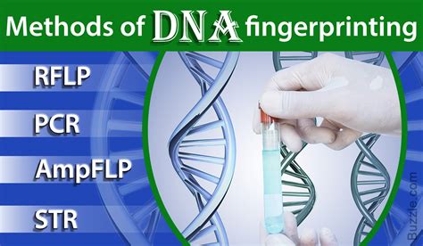 Uses of DNA Fingerprinting: Not Just Identifying Criminals - Biology Wise