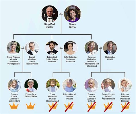 King of Sweden on why he stripped grandchildren of royal titles | Daily Mail Online