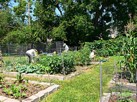 The Basics on Starting a Community Garden - Urban Harvest