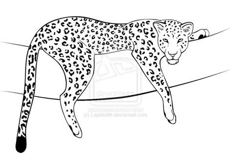 Leopard Line Drawing at PaintingValley.com | Explore collection of ...