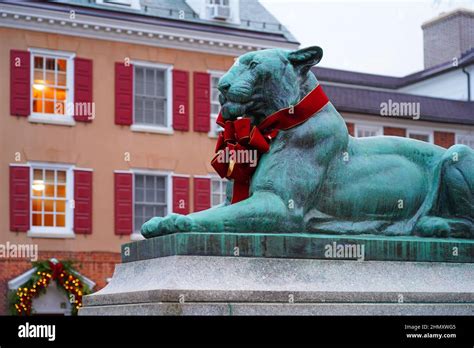 PRINCETON, NJ -5 DEC 2021- View of the bronze tiger statue in Palmer Square in downtown ...