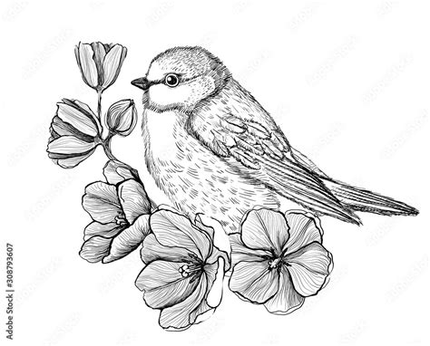 Art graphic illustration of a bird sitting on a branch with flowers ...