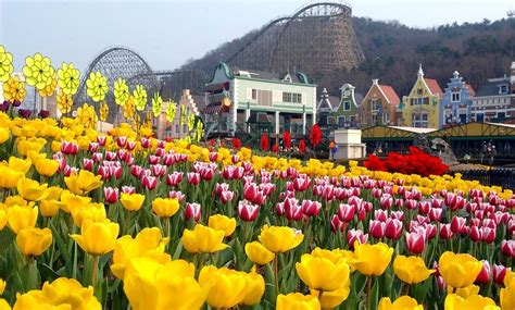 Everland Theme Park & How to Go Guide | KoreaToDo