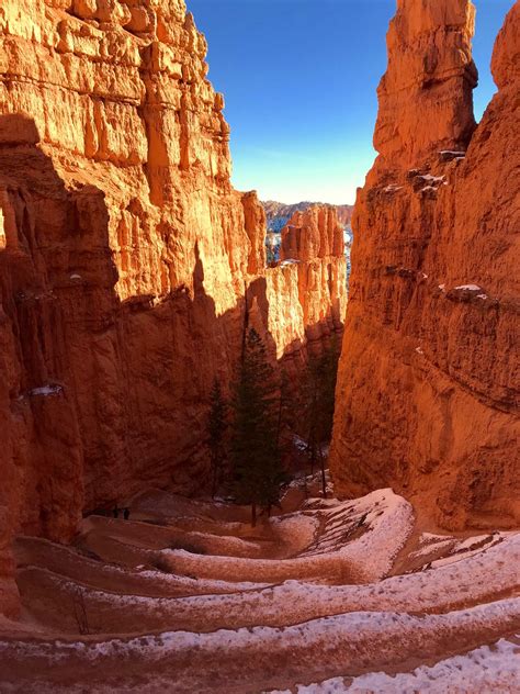 Navajo Loop Trail - Bryce Canyon National Park, Utah [OC] [1512 × 2016] : r/EarthPorn