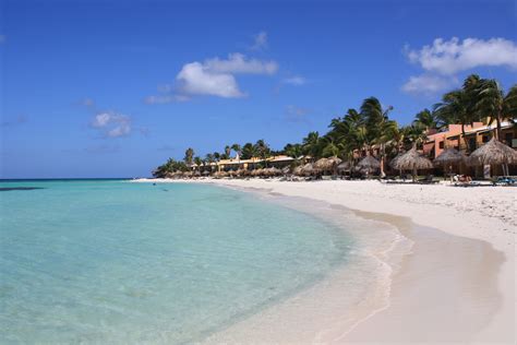 This is Druif beach in Aruba, where the Divi and Tamarijn resorts are ...