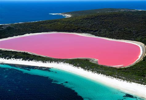 Discovering the Bubblegum Pink Lakes of Western Australia