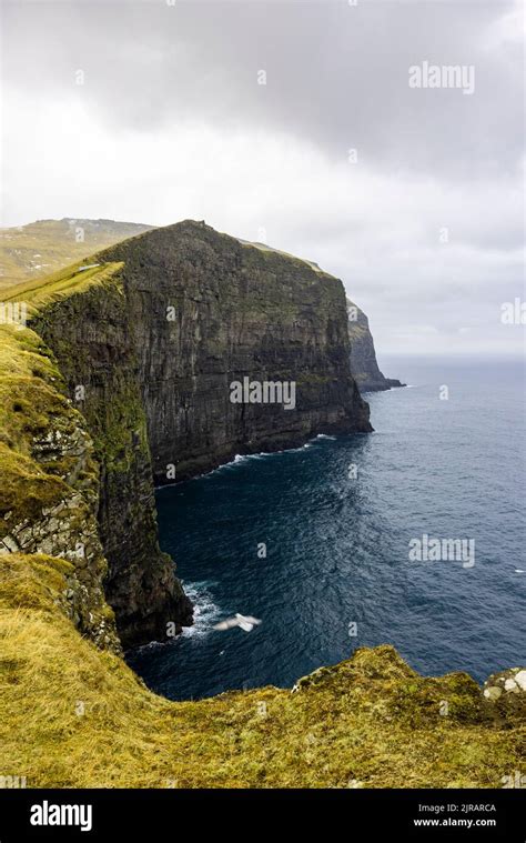 Faroe Islands, Eysturoy, Gjogv, Steep coastal cliffs Stock Photo - Alamy