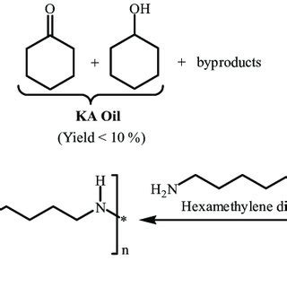 Mechanism Of Nylon 6 6 Polymerization