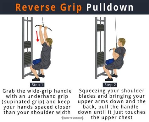 Close Grip Lat Pulldown: Muscles Worked, Alternative Form, Benefits