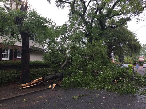 Residents Talk Recovering From Severe Storm Damage Monday