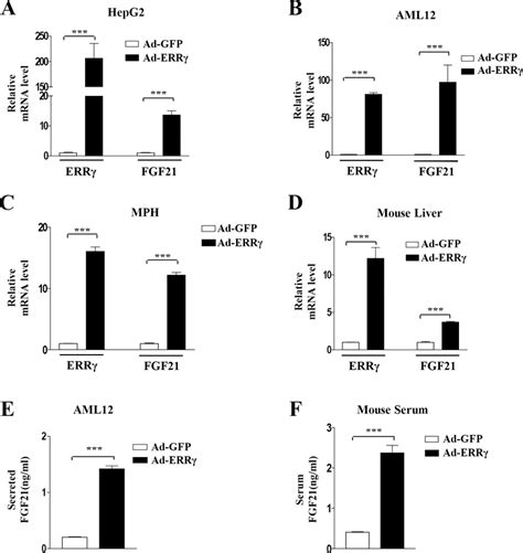 ERRγ overexpression induces FGF21 gene expression. (A–C) HepG2 cells,... | Download Scientific ...