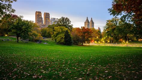 Photos New York City USA Central Park Nature Parks Grass 2560x1440