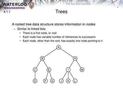 PPT - The Tree Data Structure PowerPoint Presentation, free download ...