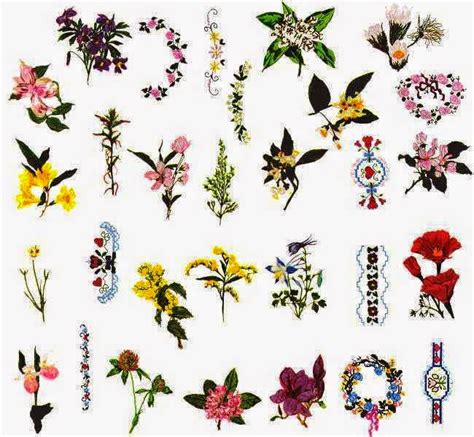 download Bernina- Fleurs embroidery 31 designs ~ download free designs ...