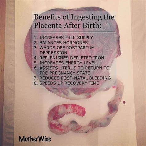 24 best She ate what?! Placenta Encapsulation images on Pinterest | Births, Doula business and ...