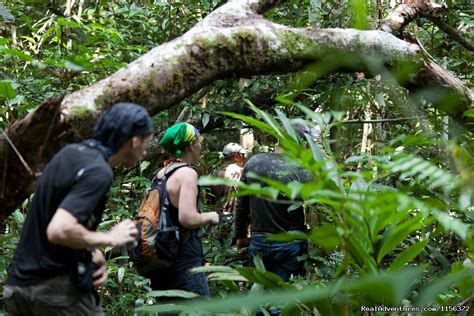 Brazil Manaus Amazon Jungle Tours | Manaus, Brazil Eco Tours