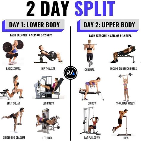 8 Powerful Muscle Building Gym Training Splits - GymGuider.com | Gym workout plan for women ...