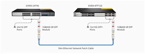 Is SFP Compatible With SFP+? Can 10G SFP+ Run at 1G SFP Port? | FS Community