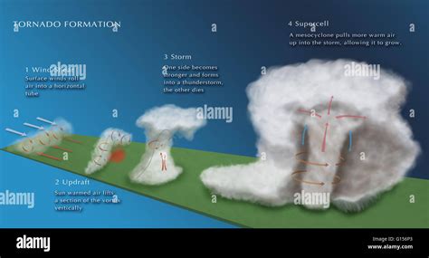 Illustration of the formation of a tornado. (1) A wind shear forms; surface winds roll air into ...
