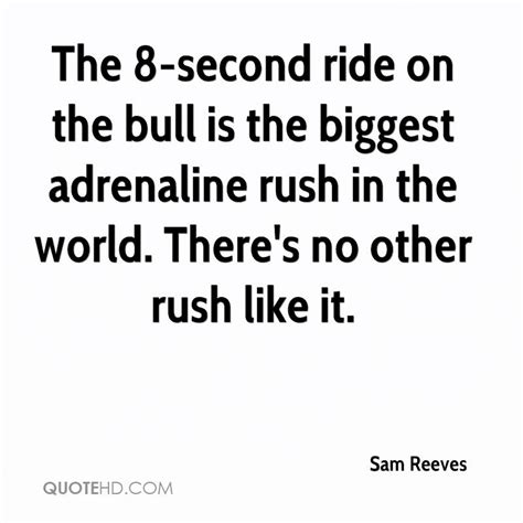 Bull Riding Inspirational Quotes. QuotesGram