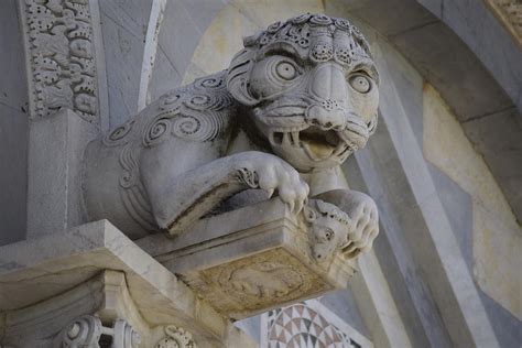 Medieval Lion of Pisa Photograph by George Stellingwerf | Fine Art America