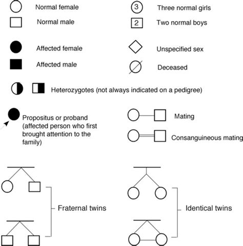 Genetic Pedigree Diagrams