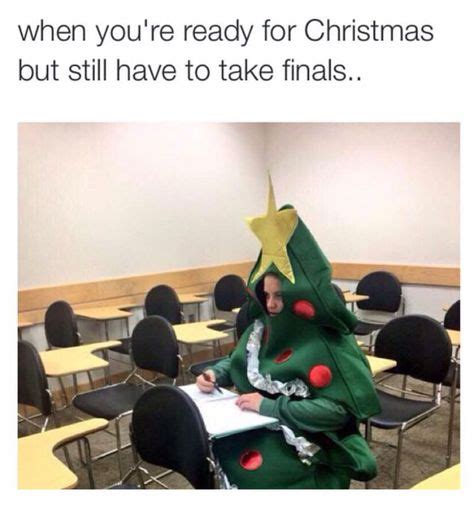 Ready for xmas break (With images) | Christmas memes, Funny pictures, Christmas humor