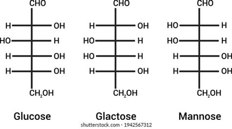 Mannose Structure