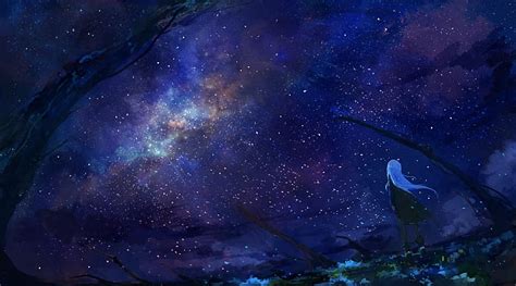 HD wallpaper: Anime, Original, Girl, Starry Sky | Wallpaper Flare