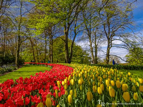 Keukenhof Tulip Gardens Photos | Fasci Garden