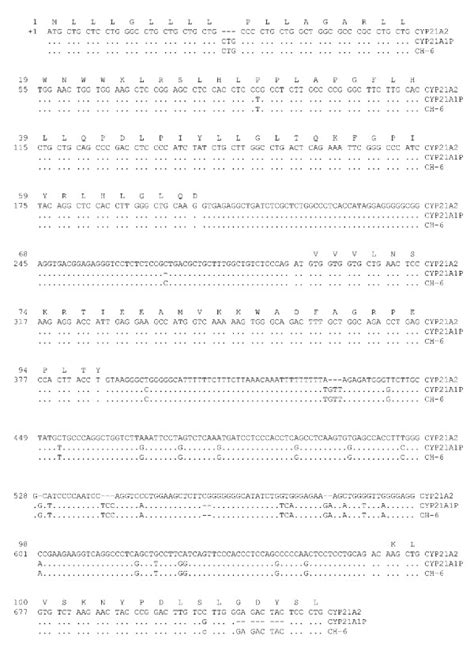 Sequence of the new chimeric gene. Sequence of CH-6 chimera from +1... | Download Scientific Diagram