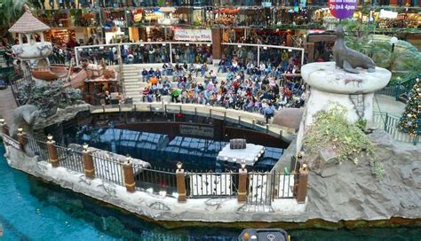 Are There Dolphins At West Edmonton Mall? Discover The Aquatic Wonders!