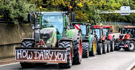 Dutch Farmers Protest Climate Policies They Say Could Drive Them Out of Business and Fuel Global ...