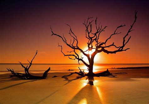 Scorching Desert Sun Photograph by Frozen in Time Fine Art Photography ...