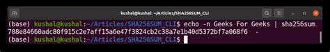 Generating an SHA-256 Hash From the Command Line - GeeksforGeeks