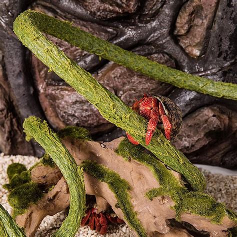 Trianu Hermit Crab Climbing Toys, Jungle Vines for Reptiles, Small Animal Terrarium Decor ...