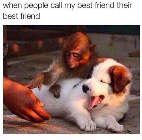 12 Best Friend Memes That Will Make You Say So Us