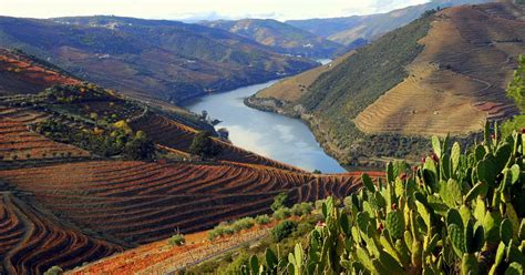 Douro Valley Private Full–Day Tour from Porto | GetYourGuide