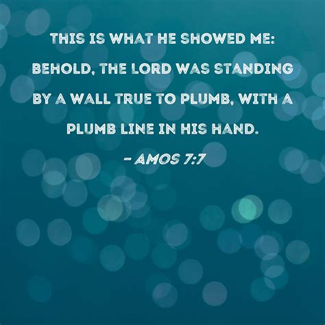 Amos 7:7 This is what He showed me: Behold, the Lord was standing by a ...