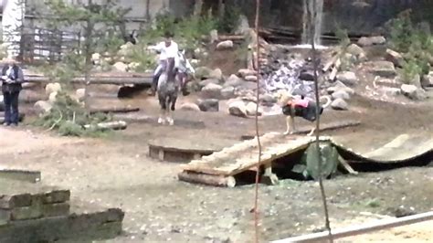 Oregon Horse Center National Mountain Trail Championships Canine - YouTube