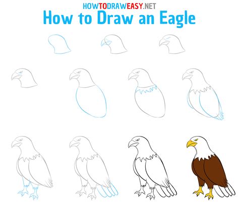 How to Draw an Eagle Easy - How to Draw Easy