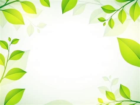 Premium Vector | Shiny green leaves on white background for Nature concept.