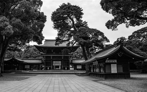 Meiji Shrine | Signorina Z | Flickr
