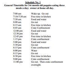 17+ Puppy Potty Training Schedule Template Gif