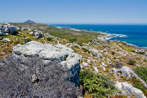 Cape Point Nature Reserve - Stray Along The Way