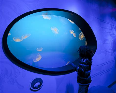 Discovery Place Science: Sensory-Friendly Hours › North Carolina ...