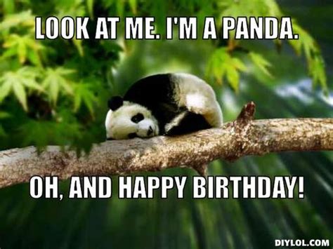 Panda Funny Birthday Quotes. QuotesGram