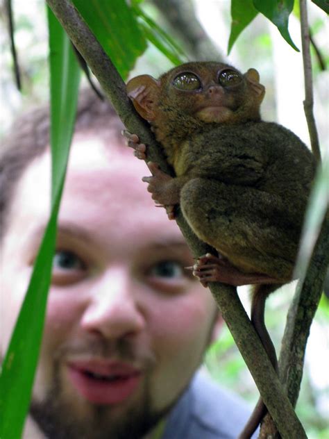 Tarsiers and the Chocolate Hills: Exploring Bohol