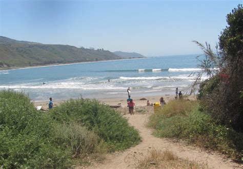 1000 Hikes in 1000 Days: DAY 197: Rincon Point & Save the Seals!